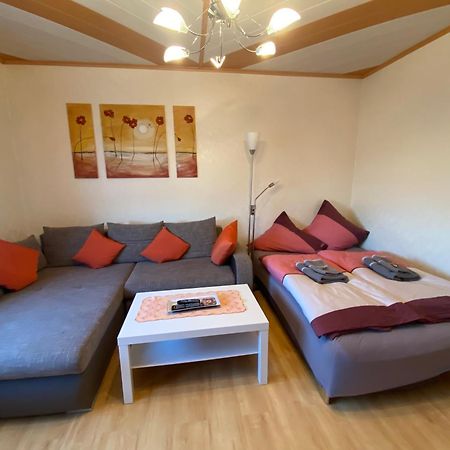 Stadtzentrumnahe Wohnung An Der Gruenen Aue, Kostenfreier Parkplatz Fulda Ngoại thất bức ảnh