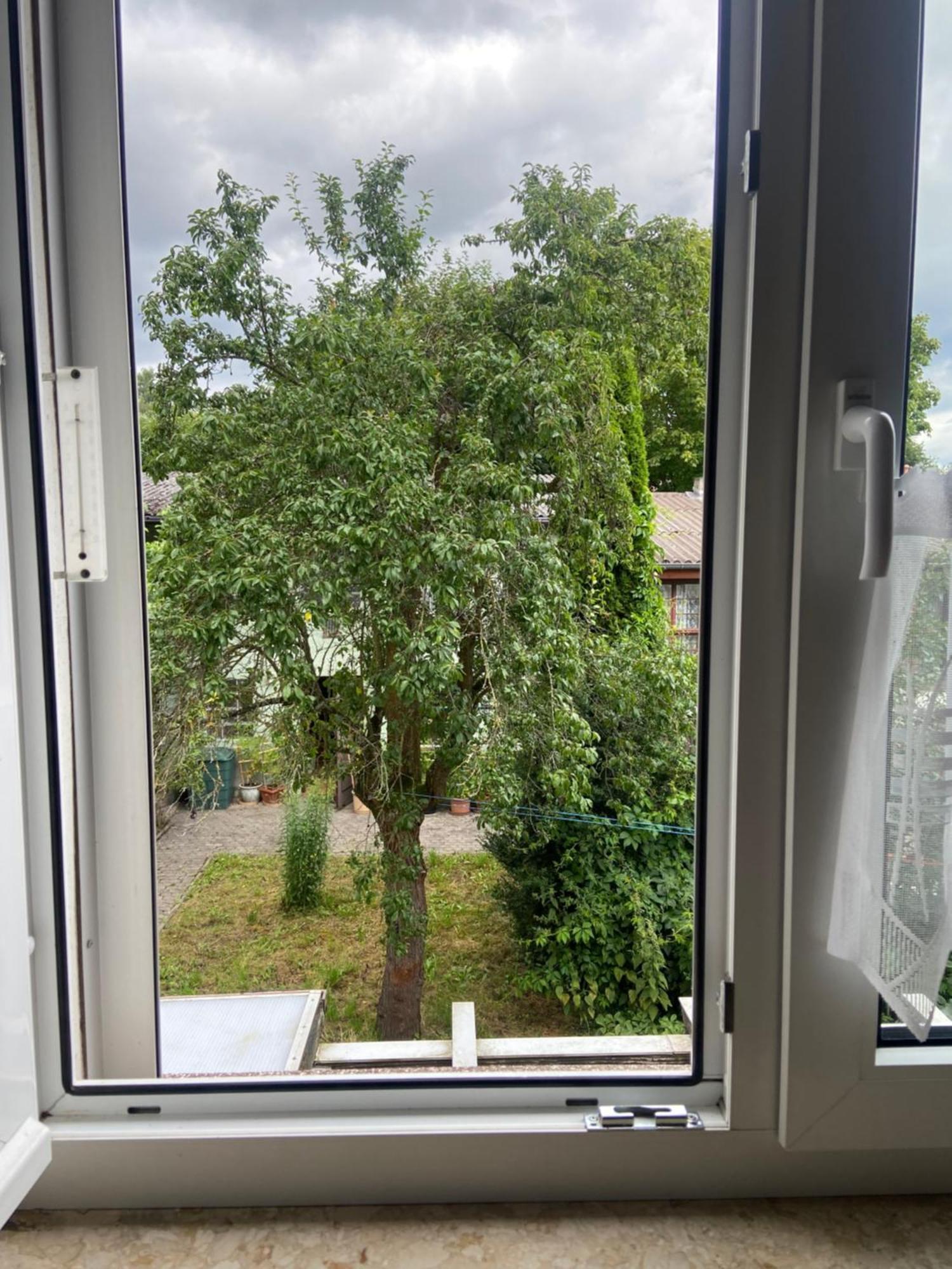 Stadtzentrumnahe Wohnung An Der Gruenen Aue, Kostenfreier Parkplatz Fulda Ngoại thất bức ảnh